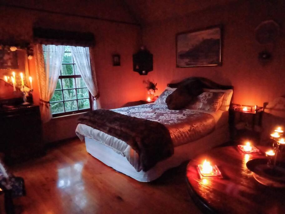 Warm Earth Cottages Aongatete Eksteriør billede